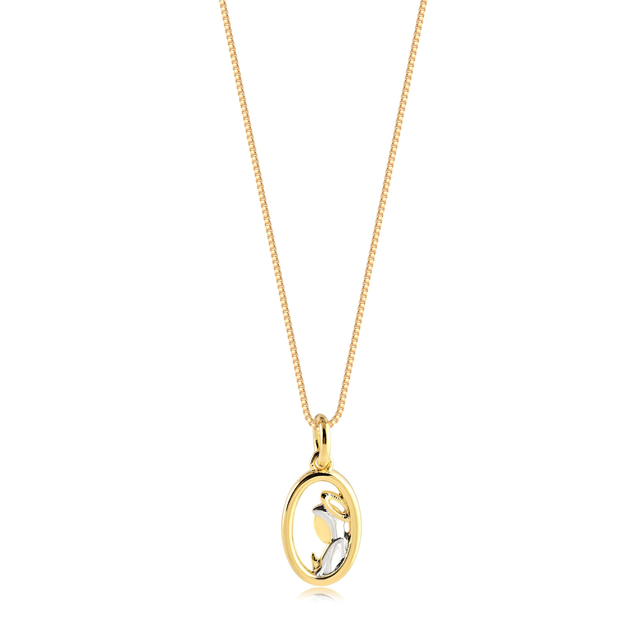 Collier Médaille Notre-Dame